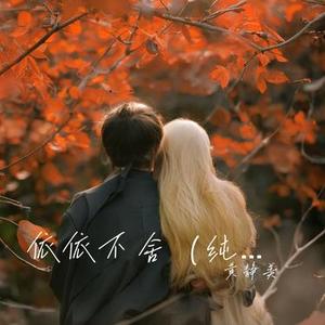 依依不舍 (纯音乐)