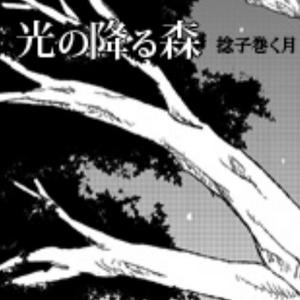 光の降る森～thiqua ol shua～