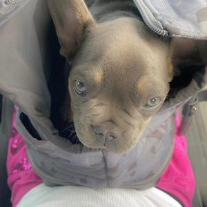 Beautiful Scandinavian Eyes