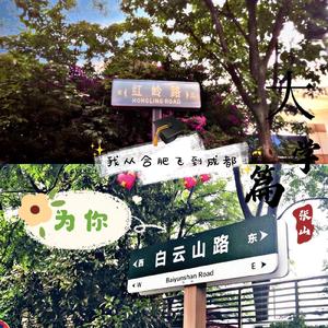 为你我从合肥飞到成都（demo）