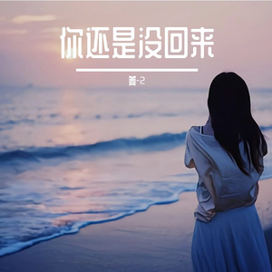 你还是没回来