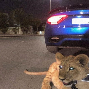 Sana Çıkıyor Yollar 2.0