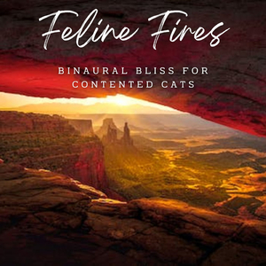 Fireside Paws and Dreams