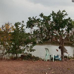 ขอให้สงกรานต์ปีนี้ของเธอเป็นปีที่ดีนะ