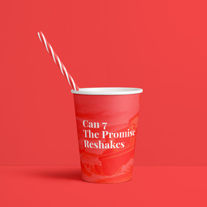 The Promise (Can 7 Reshake)