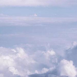 2938余香 张小九