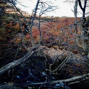 stien leder deg, mot din endelige destinasjon (Demo)