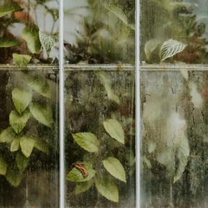 Kaybetmek İçin Kendimi