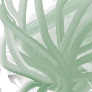 Inherent Iogic