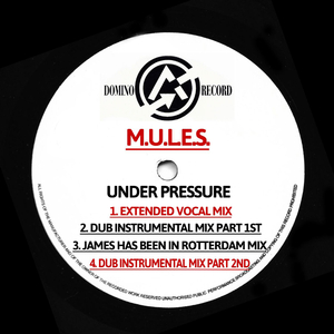 Under Pressure (Dub Instrumental Mix Part 1st)