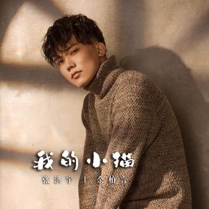 我的小猫