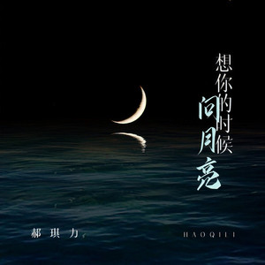 想你的时候问月亮 (DJ九零版)