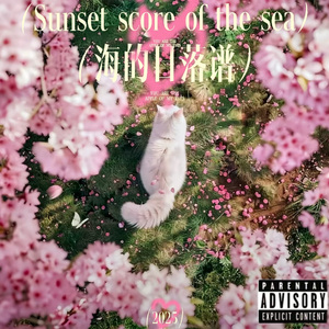 海的日落谱