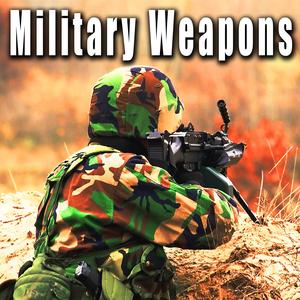 Type 92 Heavy Machine Gun Firing Medium Burst with Canyon Reverb