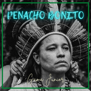 Penacho Bonito