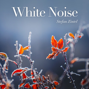 Ion Volume Hood 600 Watts