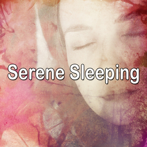 Tea in the Chinese Gardens