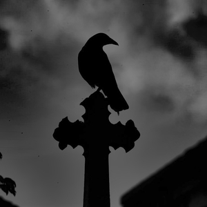 Crowz