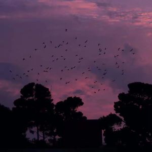 初恋（prod by FRESH_ye）