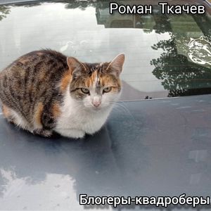 Блогеры-квадроберы