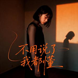 不用说了我都懂