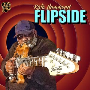 Flipside