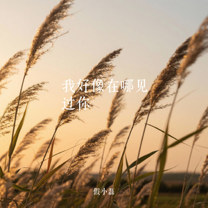 我好像在哪见过你