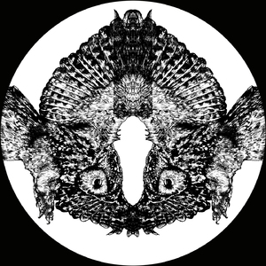 The Fall Of The Empire Is Imminent (Developer Remix)