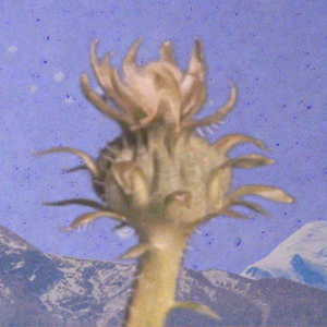 Ölüm Bizi Bekler