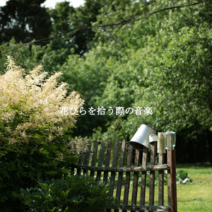 Smart Backdrops for Hazy Days