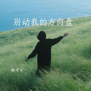 别动我的方向盘