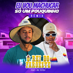 Vou Machucar Só um Pouquinho (feat. MC Teteu) (Remix)