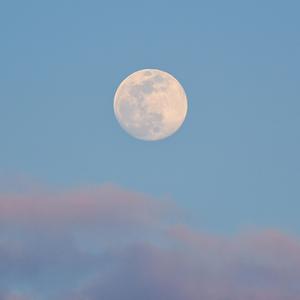 月亮不会奔你而来