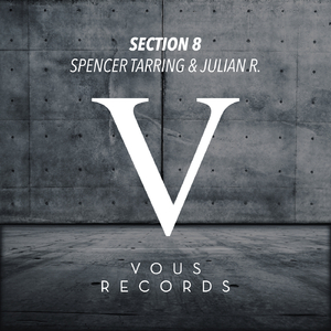 Section 8 (Original Mix)