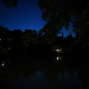 夜の静寂