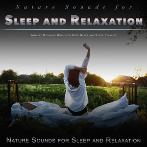 Nature Sounds for Sleep