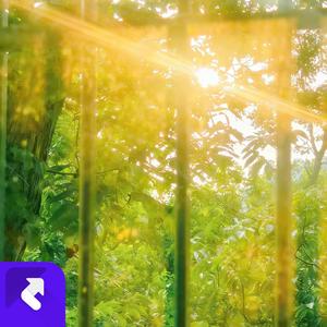 该有的会有（清唱） (Demo)