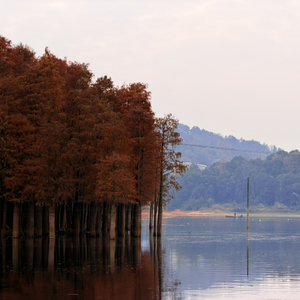 吾乡吾土吾爱湖南