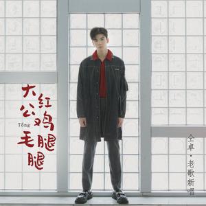 大红公鸡毛腿腿 伴奏