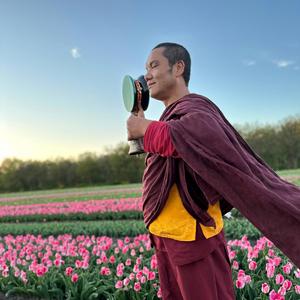 Wisdom & Compassion Mantra (Manjushri)