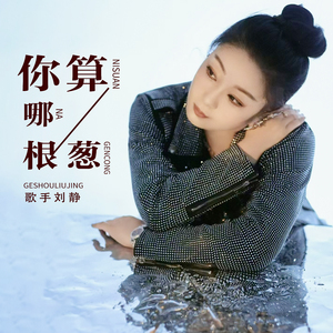 你算哪根葱 (DJ版)