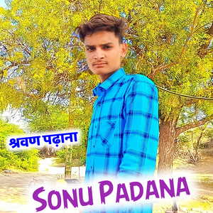 भायेली टाटा करगी