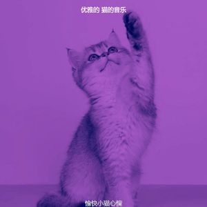 抚慰的压力大的猫回忆