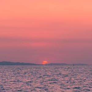 追寻你（万物复苏版）