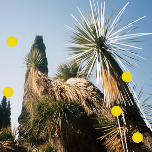 Pinie (Sébastien Léger Remix)