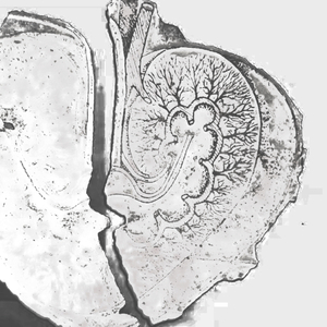 空的_（prod..luv8z）