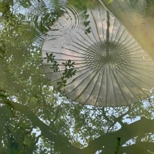 只想牵着你的手