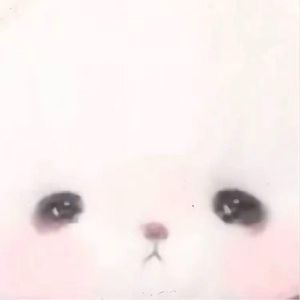 陈心的心