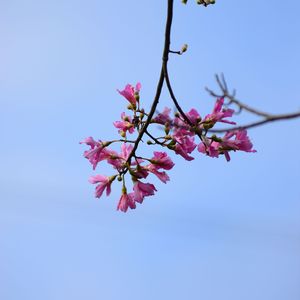 特别的人(晚安大同)1758989576348_20250928_001409