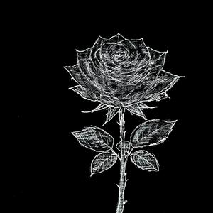 コンポジションツー